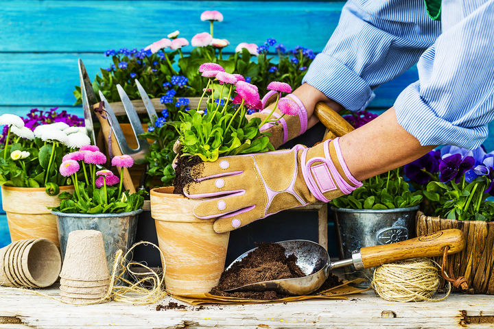 Hulp bij huis, tuin en keukenklussen – Vrijwillige Hulp Dienst