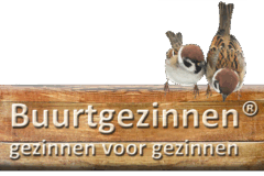 Opvoeden doen we samen: Buurtgezinnen Midden-Groningen koppelt gezinnen voor een stabieler thuis