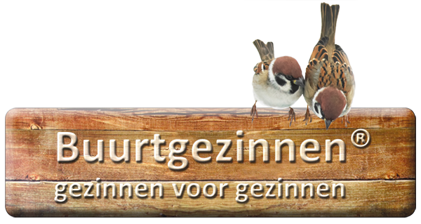 Opvoeden doen we samen: Buurtgezinnen Midden-Groningen koppelt gezinnen voor een stabieler thuis