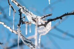 Vanwege gladheid locaties van Kwartier en de sociale teams vandaag (woensdag 4 februari) gesloten!