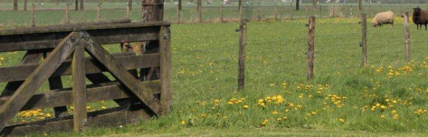 Zaterdaghulp in de dierenweide – Hertenkamp Zuidbroek